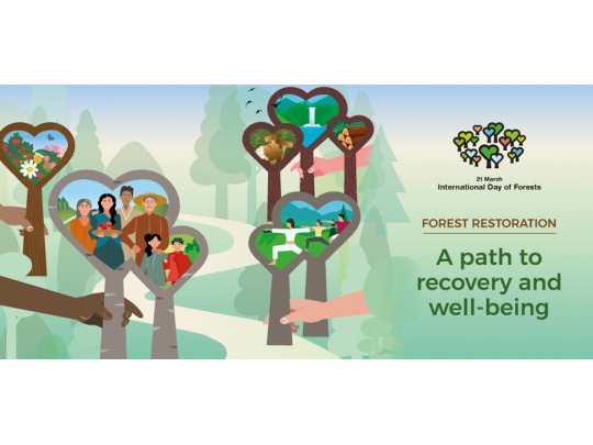 Giornata Internazionale delle Foreste 2021 - Se “ogni albero conta”, 60 milioni di alberi contano tantissimo!