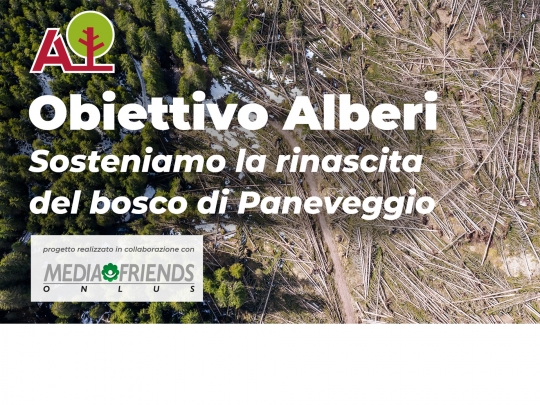 OBIETTIVO ALBERI: Sosteniamo la rinascita del bosco di Paneveggio