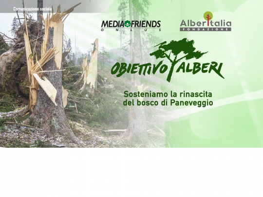 Fondazione AlberItalia collabora con Mediafirends onlus