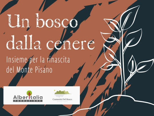 “Un Bosco dalla Cenere”, al via la campagna di raccolta fondi per ripristinare parte della superficie boschiva distrutta dall’incendio del 2018 sul Monte Pisano