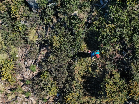 Proseguono i sopralluoghi nell'area di Un Bosco dalla Cenere