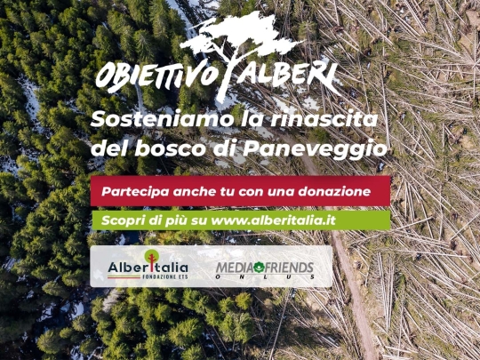 Campagna di raccolta fondi &quot;OBIETTIVO ALBERI – Sosteniamo la rinascita del bosco di Paneveggio&quot;. A che punto siamo?