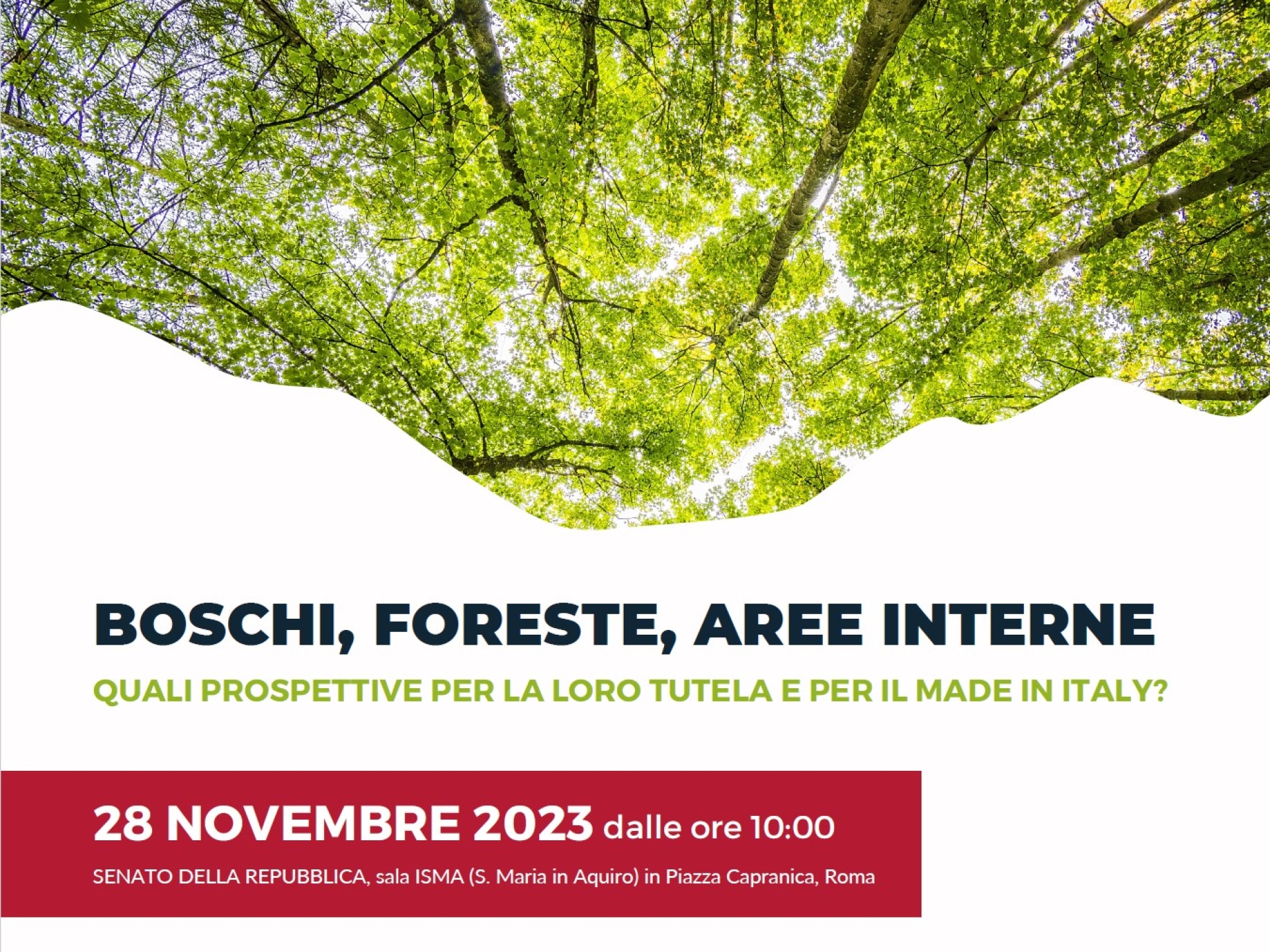 Boschi, foreste e aree interne…parliamone in Senato