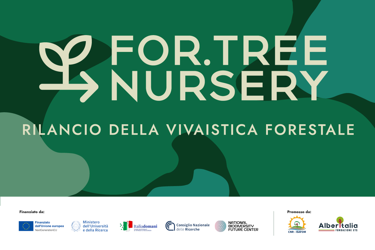 non si scherza con gli alberi