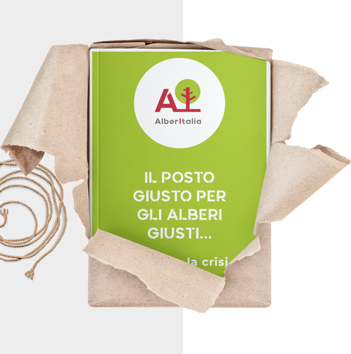 Vademecum Alberitalia.it