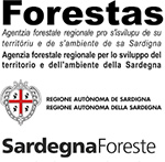 Forestas