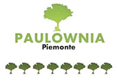 Paulownia Piemonte