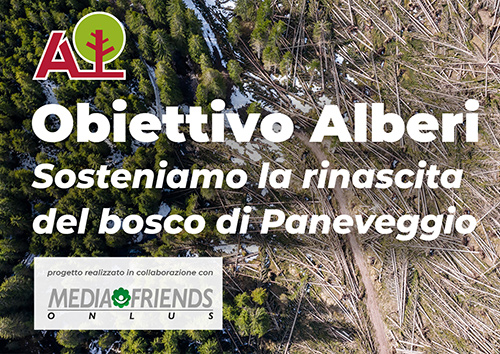 Campagna obiettivo alberi Paneveggio 1