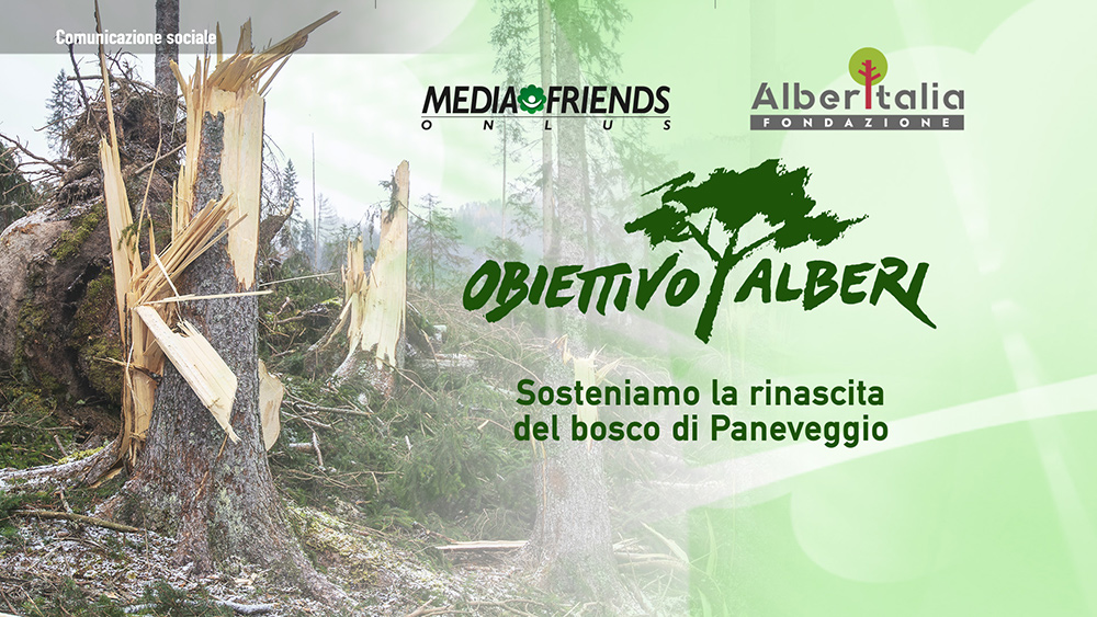 Fondazione AlberItalia collabora con Mediafirends 1