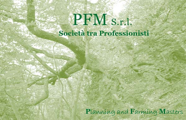 PFM società tra professionisti